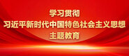 大鸡巴插入逼洞学习贯彻习近平新时代中国特色社会主义思想主题教育_fororder_ad-371X160(2)